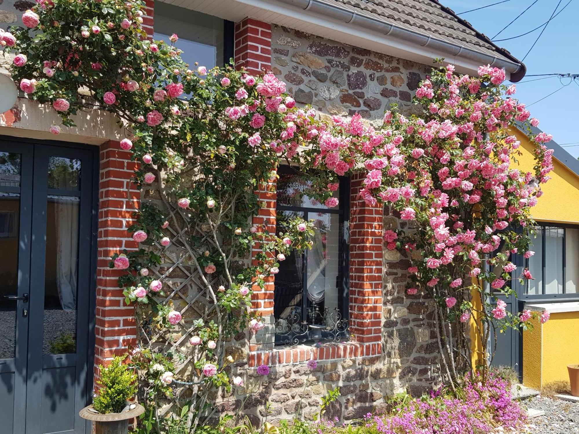Bed and Breakfast Le Jardin à Coudeville-sur-Mer Extérieur photo