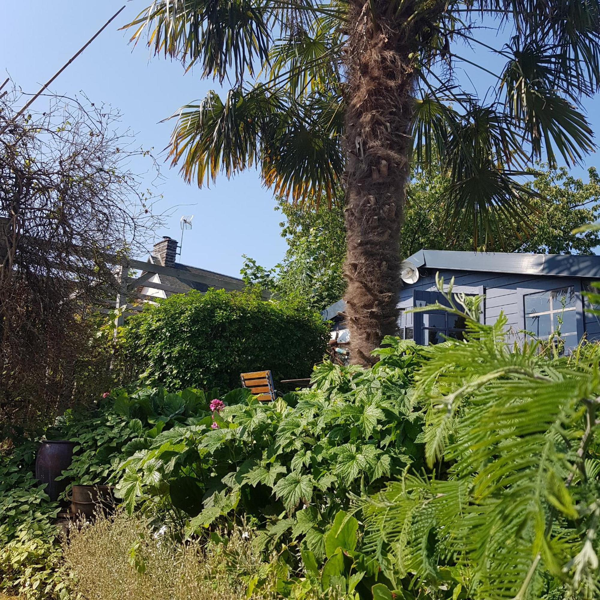 Bed and Breakfast Le Jardin à Coudeville-sur-Mer Extérieur photo