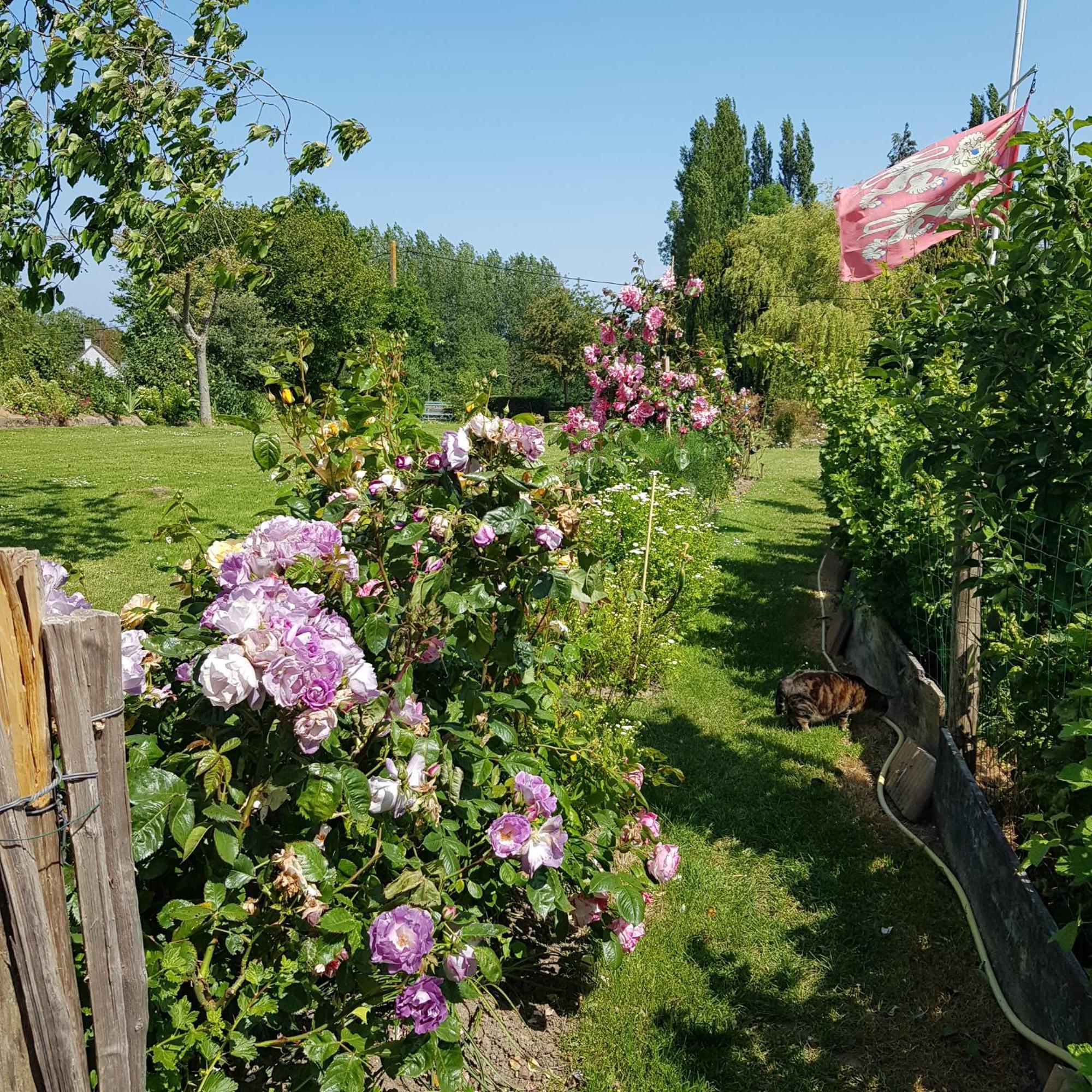Bed and Breakfast Le Jardin à Coudeville-sur-Mer Extérieur photo